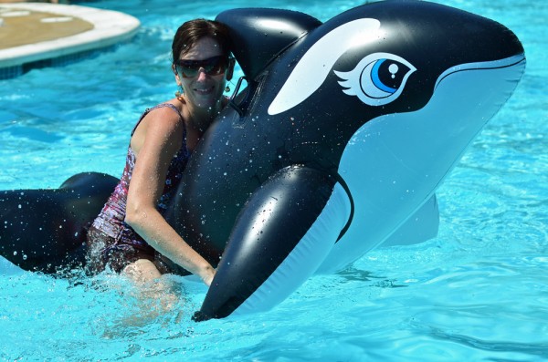 whale