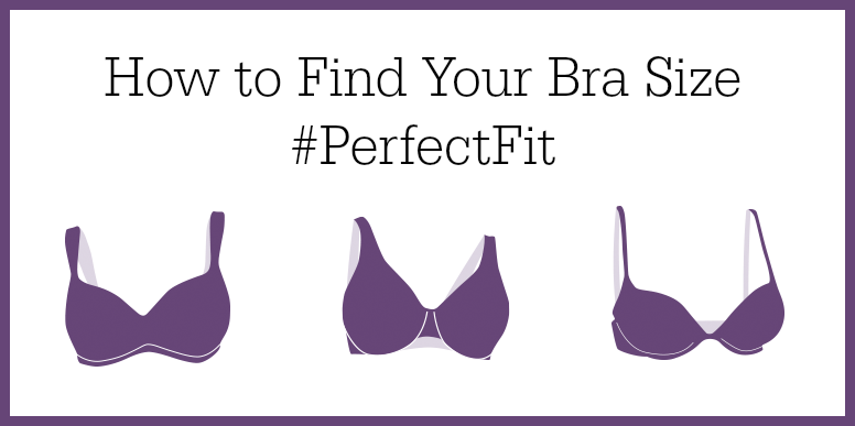 How To Find Your Bra Size 8538